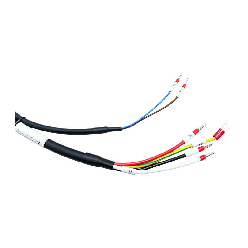S6-L-B112-3.0 Motor de alta potência e cabo combinado de freio